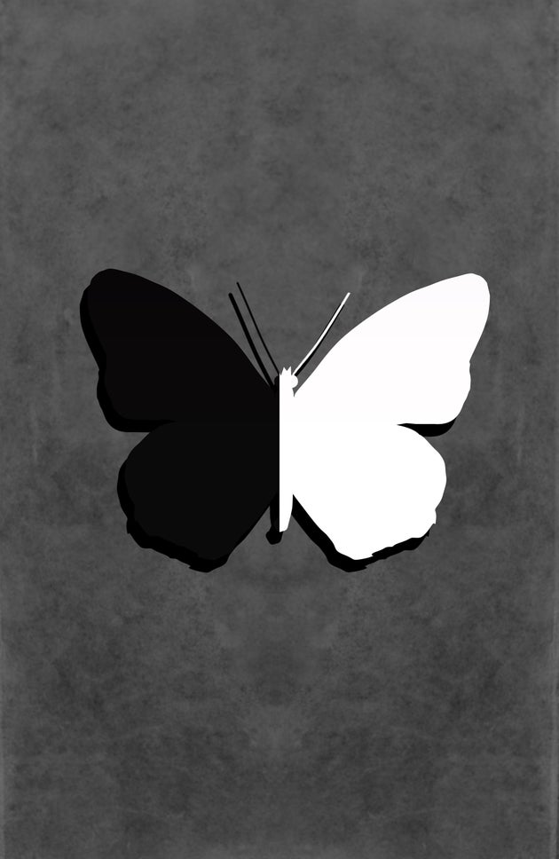 Black and white contrast butterfly vector
