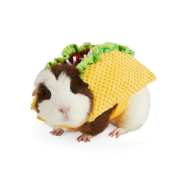 This <a href="https://www.petco.com/shop/en/petcostore/product/bootique-tasty-taco-guinea-pig-costume" target="_blank">taco c