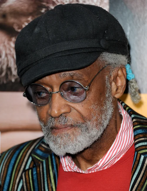 Melvin Van Peebles, Pioneering Black Filmmaker, Dead At 89