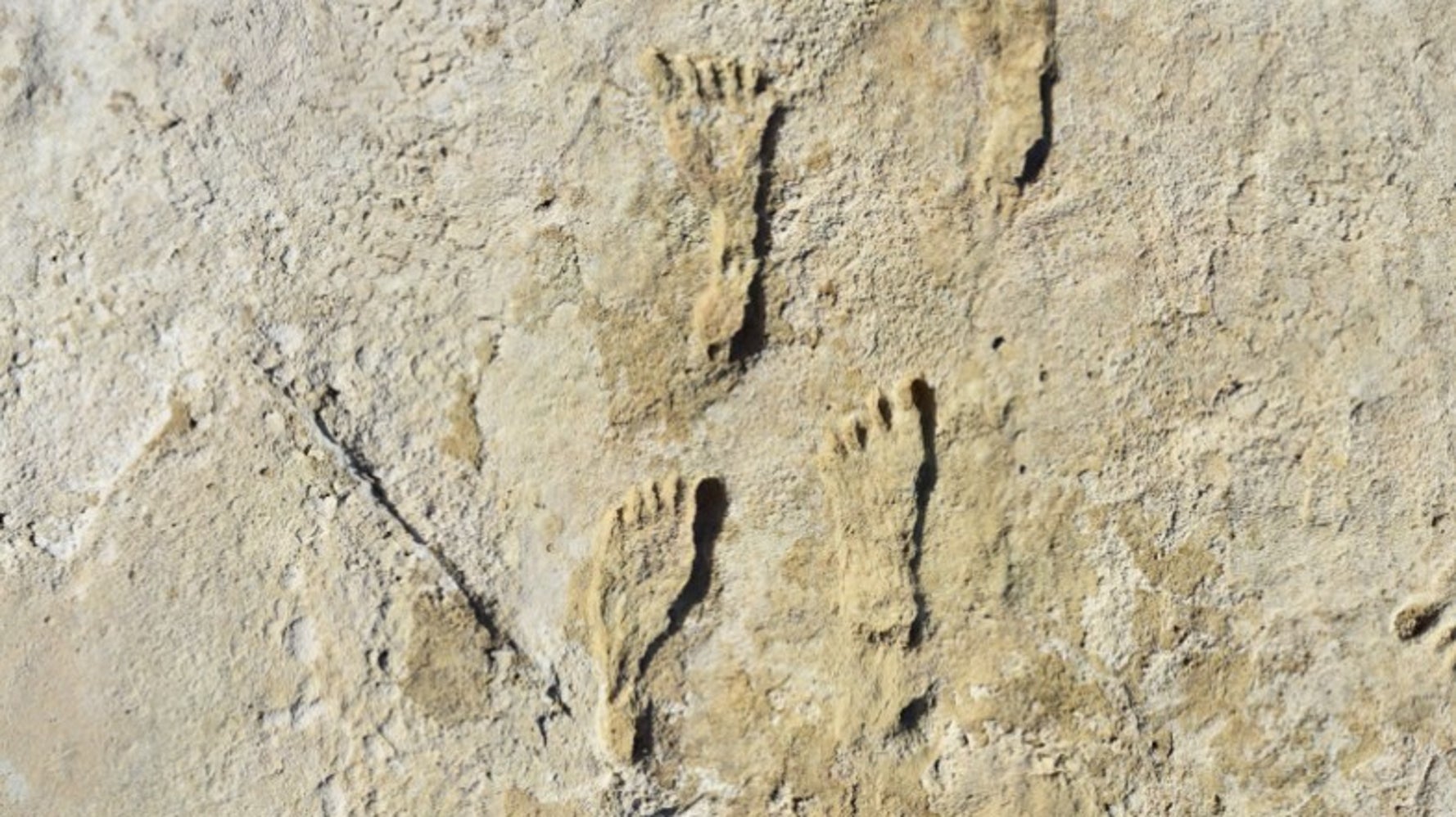 これが2万1000年前の人類の足跡だ 長年の謎を解く 初の明確な証拠 か ハフポスト World これが2万1000年前の人類の足跡だ 長年の謎を解く 初の明確な証拠 か ハフポスト World