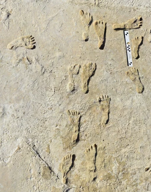 これが2万1000年前の人類の足跡だ。長年の謎を解く「初の明確な証拠