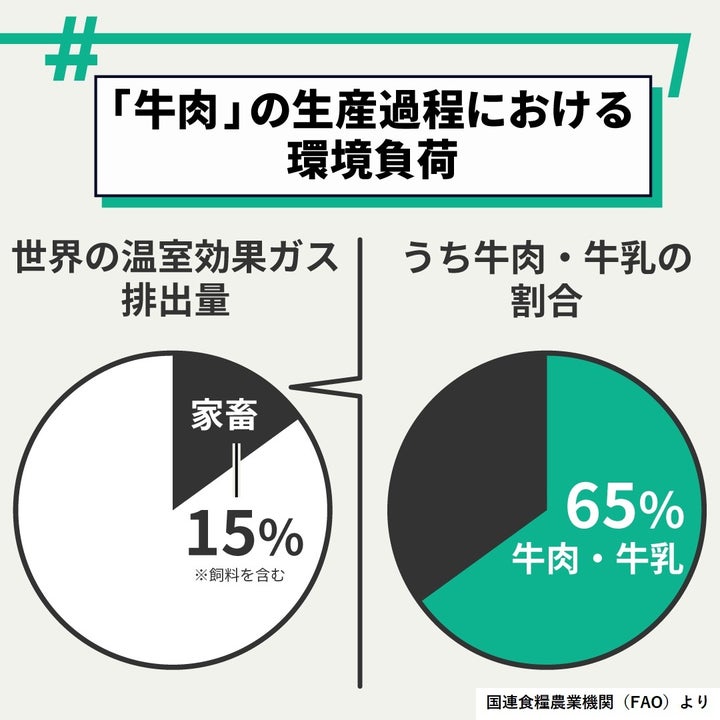 牛肉の生産過程における環境負荷