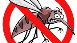今こそ知っておきたい「マイクロアグレッション」の話。差別する人を「蚊」にたとえたアニメがとっても分かりやすい