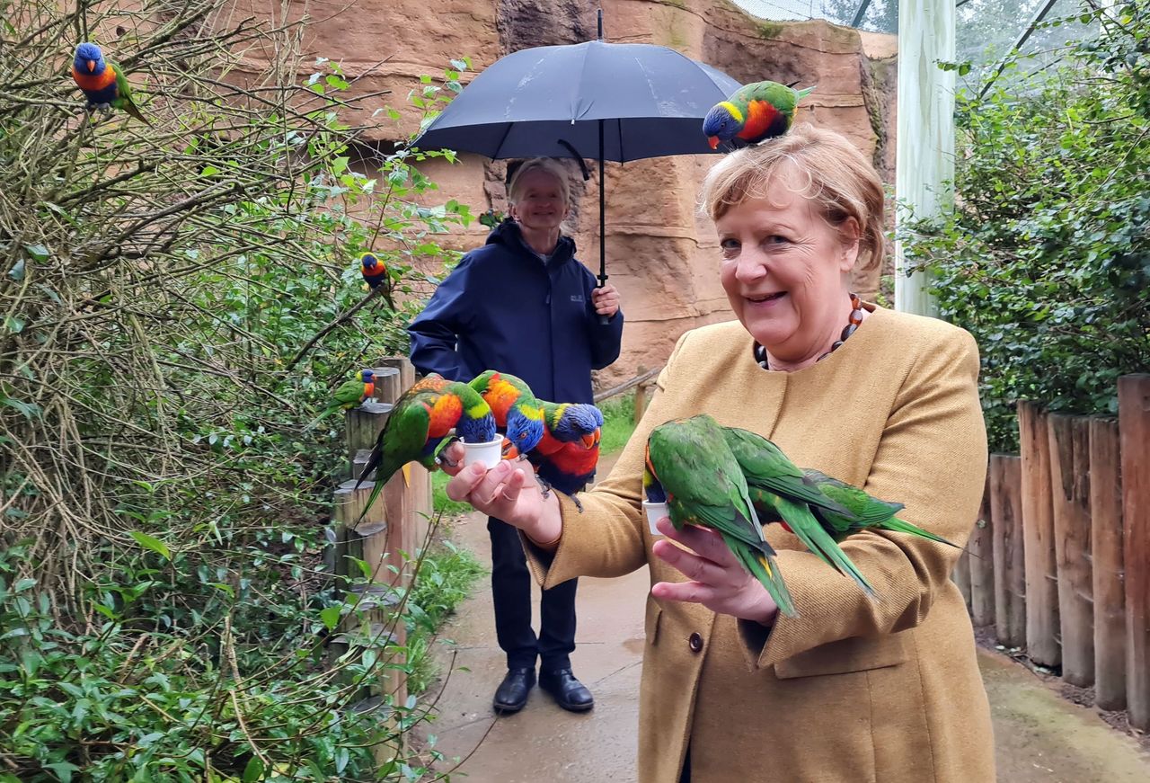 Merkel looked happier during other moments of her outing
