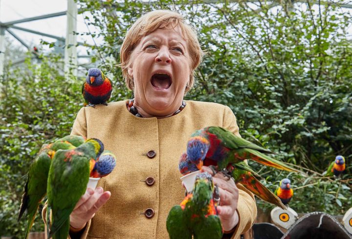 Η Γερμανίδα Καγκελάριος Άνγκελα Μέρκελ ταΐζει παπαγάλους Αυστραλασίας στο Marlow Bird Park της Γερμανίας, Πέμπτη 23 Σεπτεμβρίου 2021. (Georg Wendt/dpa via AP)