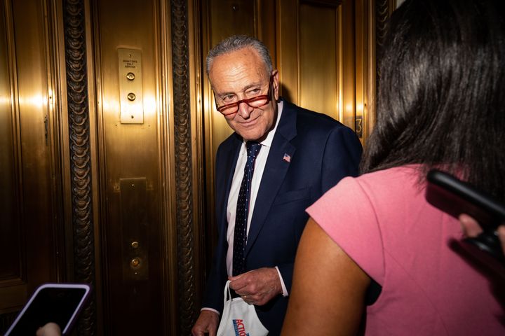 Senate Majority Leader Chuck Schumer (D-N.Y.) says that "failure is not an option" on voting rights.