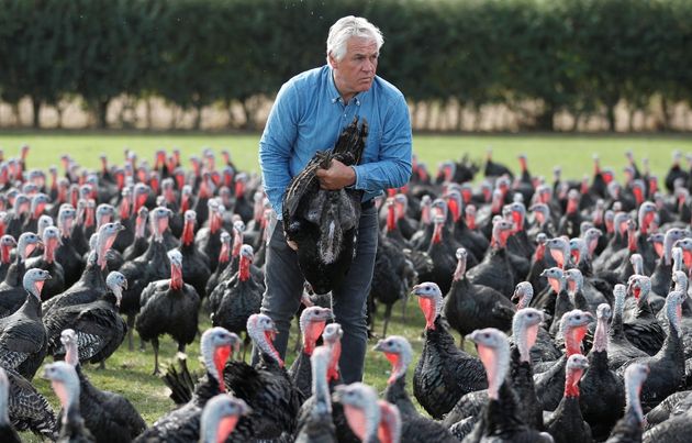 Ο πτηνοτρόφος Πολ Κέλι επιθεωρεί τις γαλοπούλες στο αγρόκτημα