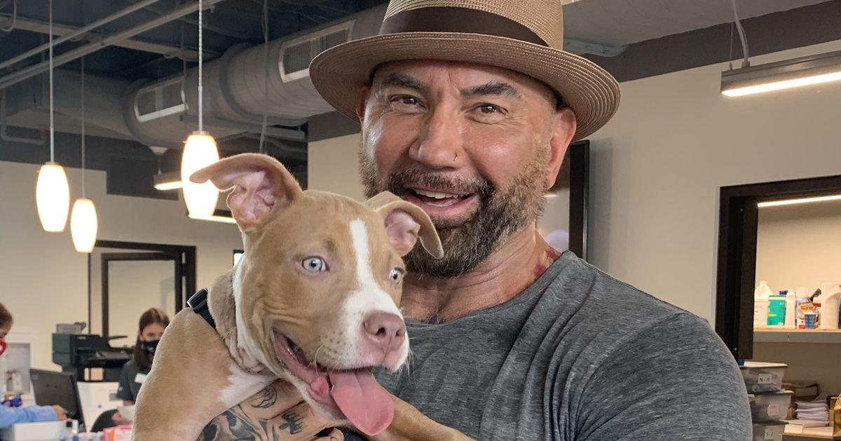 Bautista replies to ex-ESPN host's remarks