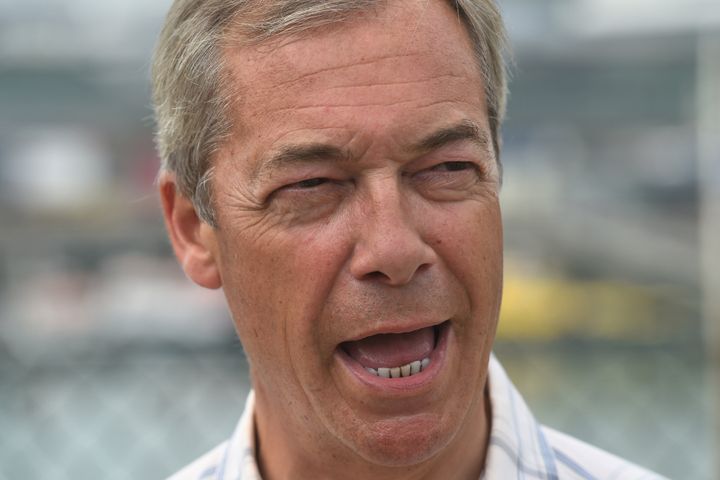 Nigel Farage has been credited with leading the Brexit campaign years before it fell into the mainline