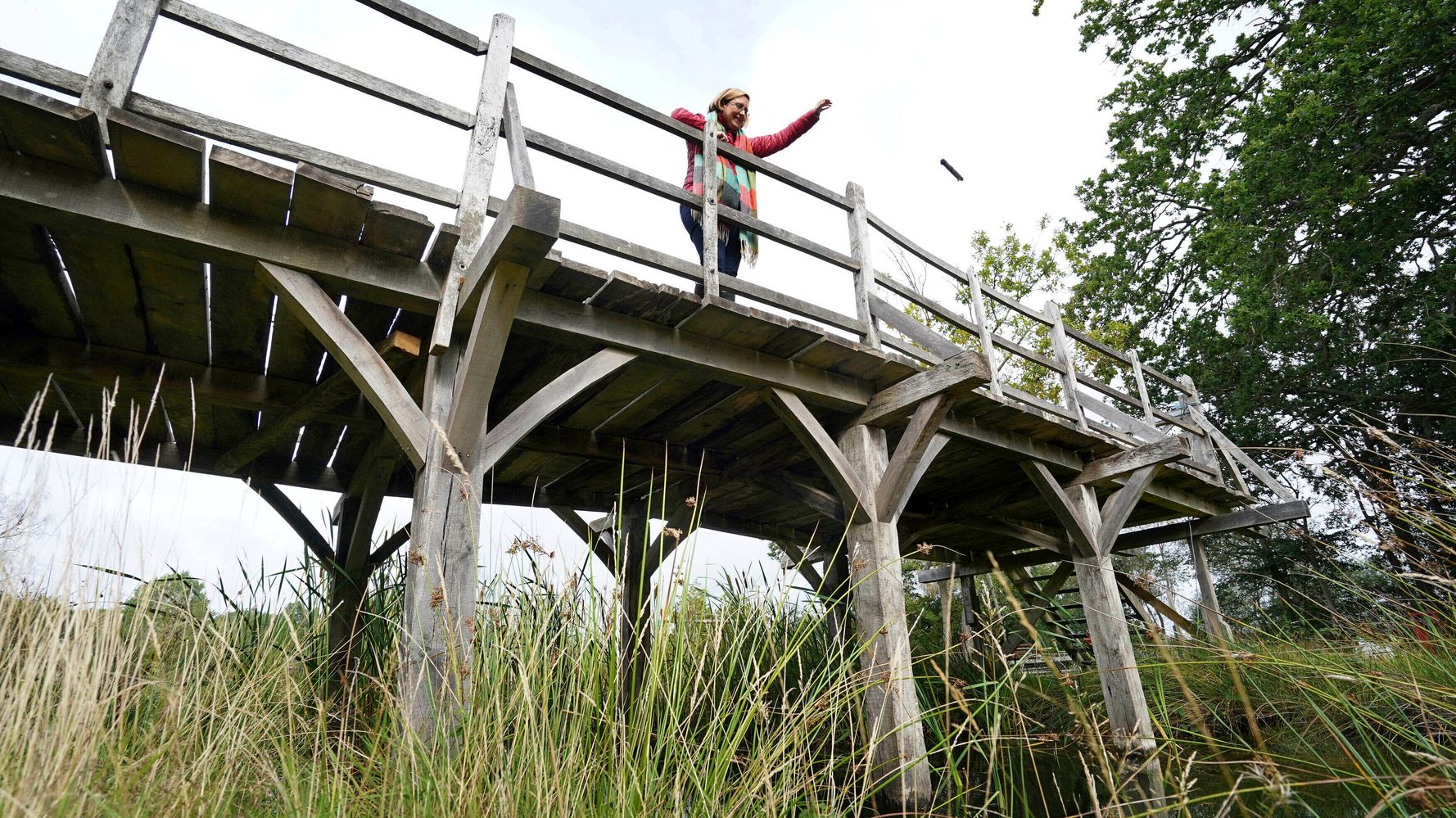 Bridge From 'Winnie The Pooh' Series To Be Auctioned