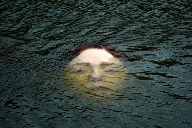 スペイン・ビルバオのネルビオン川に浮かんだ巨大な女性の顔のアート「ビハール」（9月27日撮影）