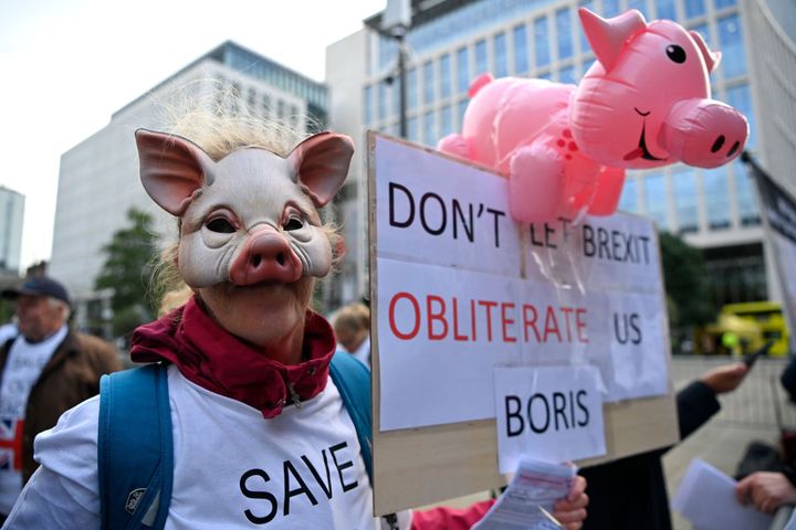 A worker in the British pig farming sector calls for government assistance