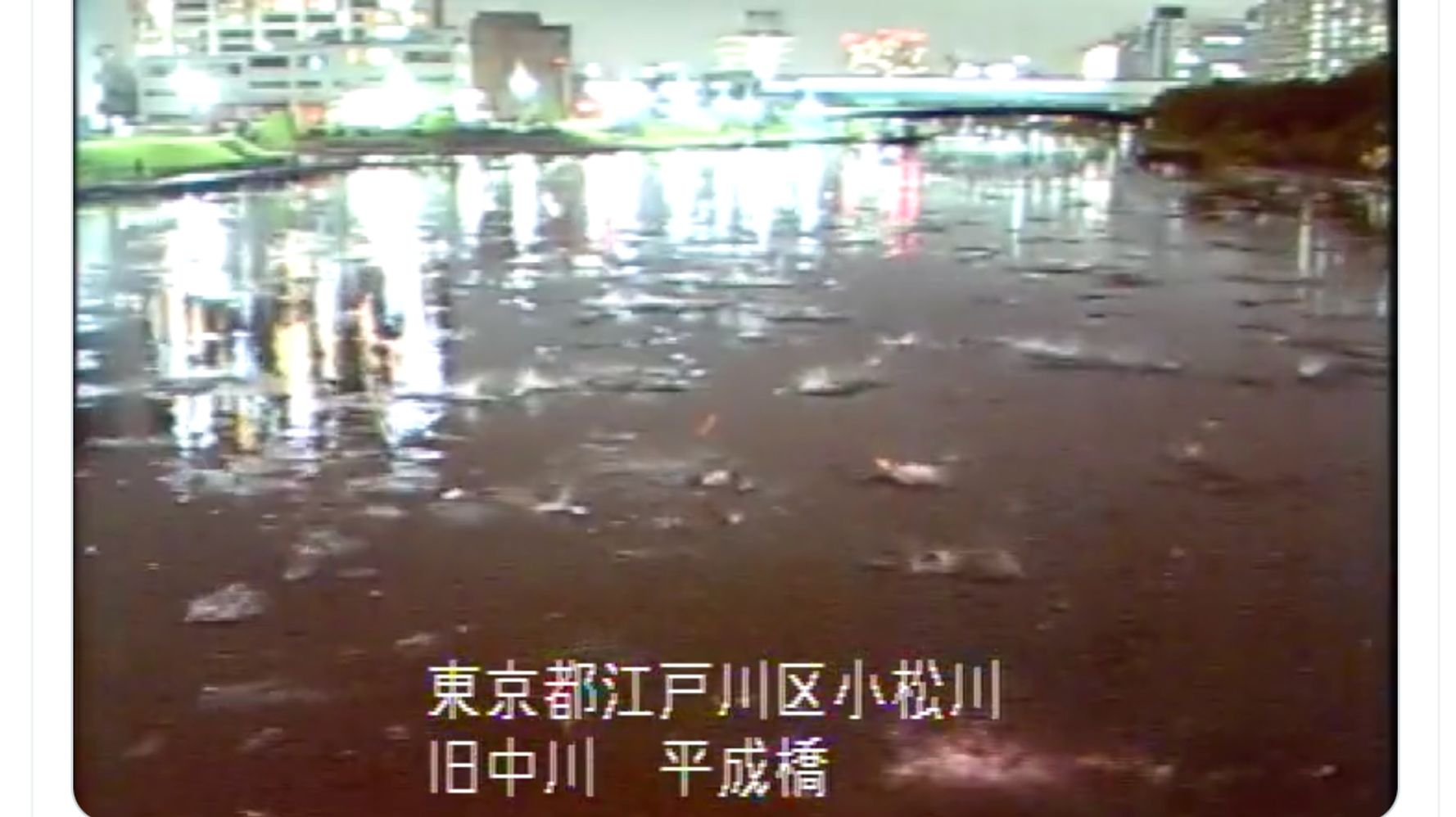 地震発生時の荒川水系河川 大量の魚が一斉に飛び跳ね 鳥の群れが一目散に飛び立った 動画 ハフポスト News