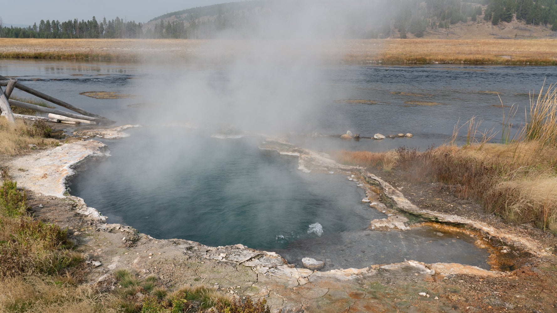 Woman Severely Burned Trying To Save Dog From Near-Boiling Hot Spring - Vimarsana News
