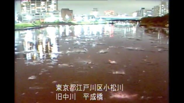 地球科学的に素晴らしい記録 地震発生時の動画 魚 鳥の順に驚くのは P波とs波の違い 名古屋市科学館職員のツイートに反響 ハフポスト 地球科学的に素晴らしい記録 地震発生時の動画 魚 鳥の順に驚くのは P波とs波の違い 名古屋市科学館職員のツイートに反響 ハフポスト