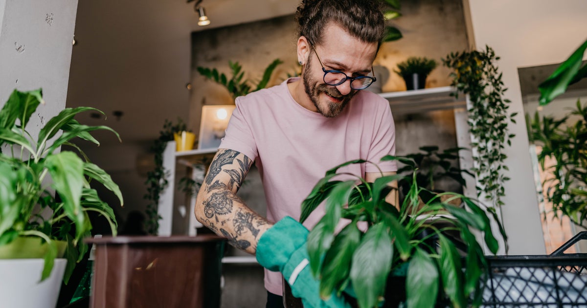 4 Simple Ways To Prepare Your Plants For Colder Weather HuffPost UK Life