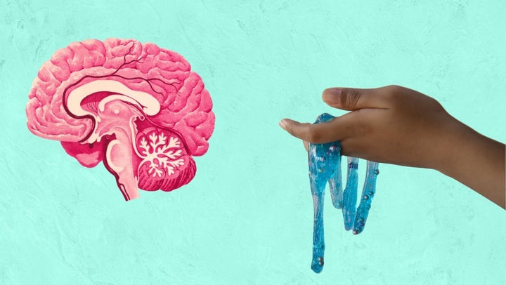 Slime on the brain? Mental health experts weigh in on the human fascination with slime and the possible mental health benefits that come with it.