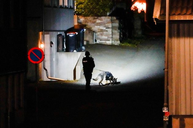 Aστυνομικός με εκπαιδευμένο σκύλο στο σημείο όπου έγινε η δολοφονική επίθεση με τόξο και βέλη στο χωριό Κόνγκσμπεργκ της Νορβηγίας. 13 Οκτωβρίου 2021. Hakon Mosvold/NTB/via REUTERS ATTENTION EDITORS - THIS IMAGE WAS PROVIDED BY A THIRD PARTY. NORWAY OUT. NO COMMERCIAL OR EDITORIAL SALES IN NORWAY.