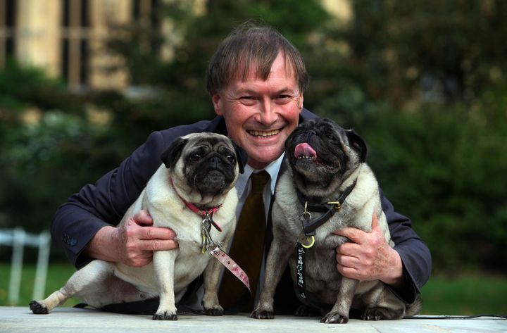 David Amess in 2013 with his pugs, Lily and Boat, at the Westminster Dog of the Year competition.