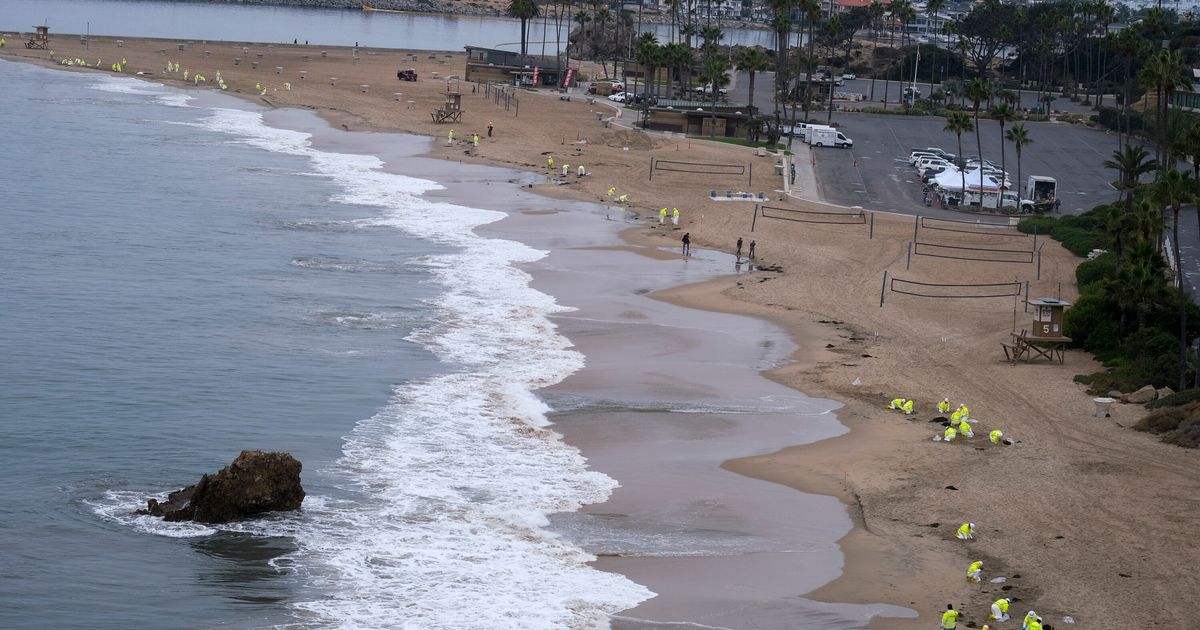 Massive Cargo Ship Dragged California Oil Pipeline: Coast Guard