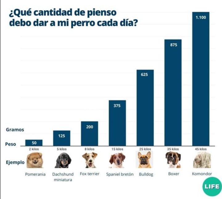 Cantidad de pienso por tamaño de animal.