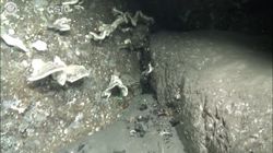 Un vídeo muestra el fondo marino cubierto de ceniza en La