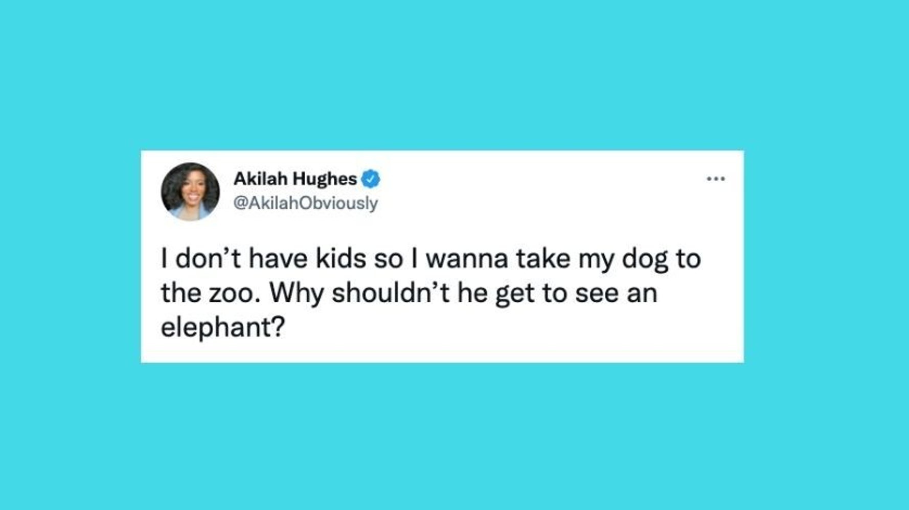 26 Of The Funniest Tweets About Cats And Dogs This Week - Vimarsana News