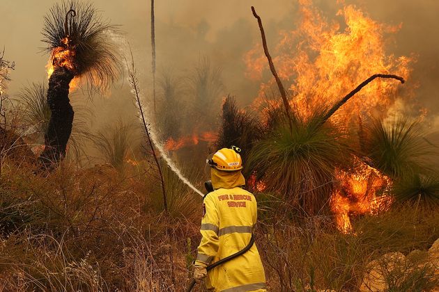 Australia has dealt with several wildfires this year, causing widespread wildlife damage and costs ...
