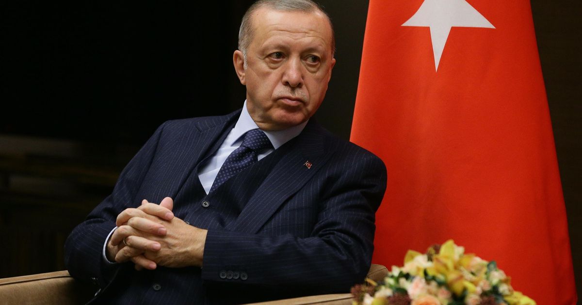 Affaire Kavala, Erdogan n’expulse pas les dix ambassadeurs : « Mais soyez plus prudent »