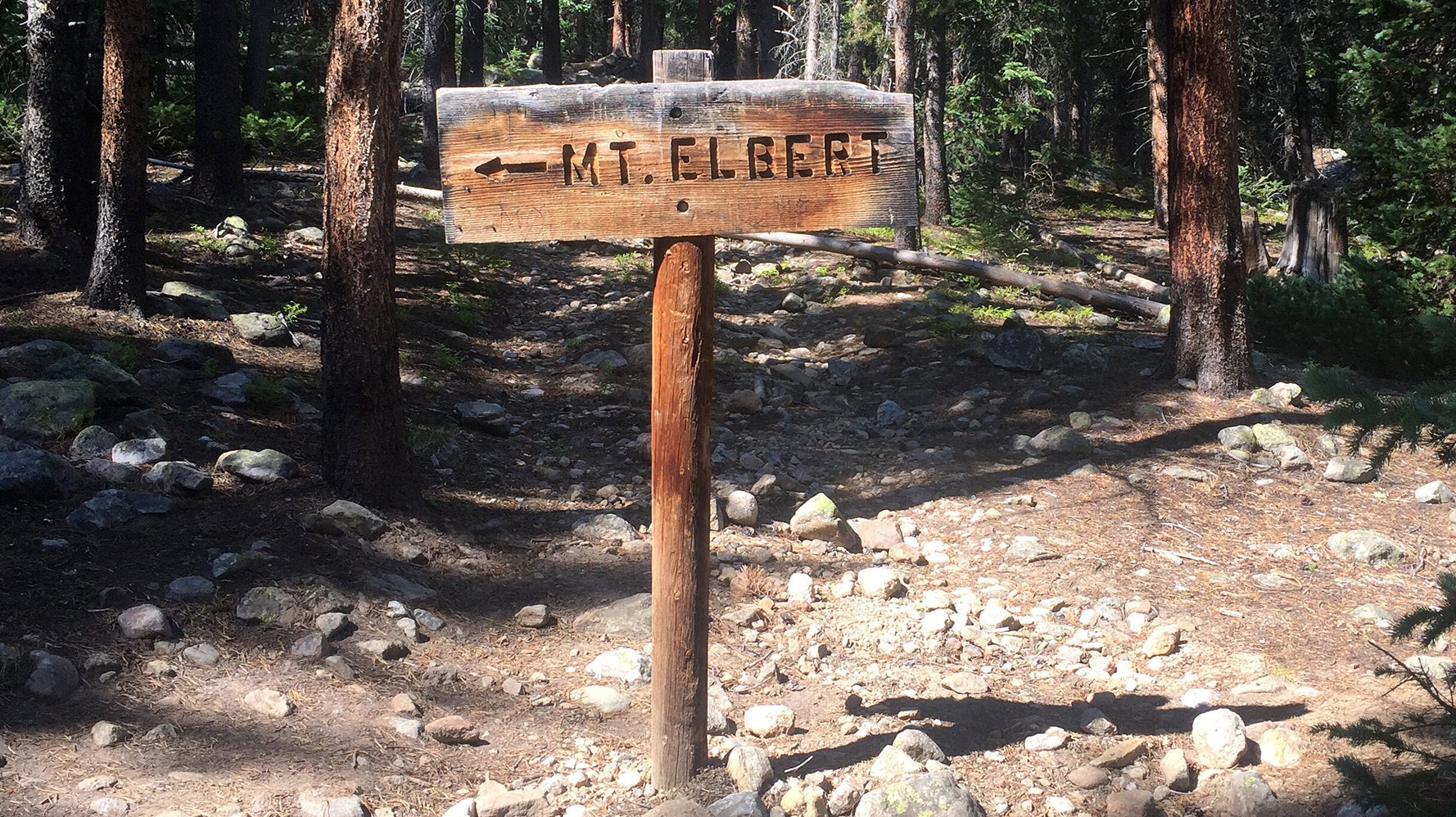 Lost Hiker Ignores Phone Calls From Rescuers For Most Relatable Reason - Vimarsana News