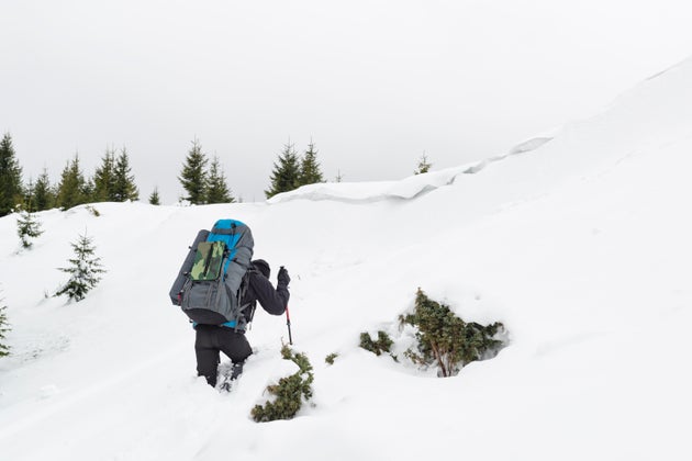 In Colorado, un parco divertimenti si è perso e non ha mai risposto di aiutarlo a cercarlo perché...