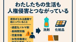 「#選挙は人権で考える」7つの人権課題をわかりやすく解説。アムネスティ日本が特設サイト