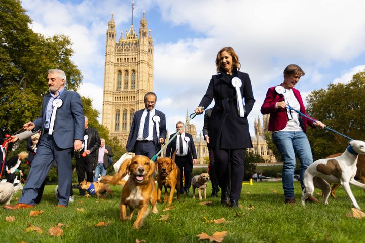 Cross party MPs competing for title the Westminster Dog of the Year competition