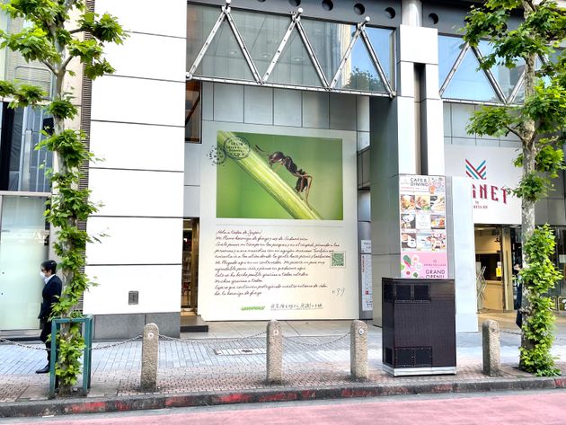 東京・渋谷に掲出された「危険生物から感謝の手紙」。QRコードを読み取れば日本語訳を読むことができるという＝グリーンピース提供