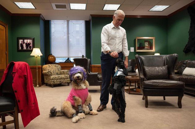 イベントを開催したトム・ティリス上院議員と犬