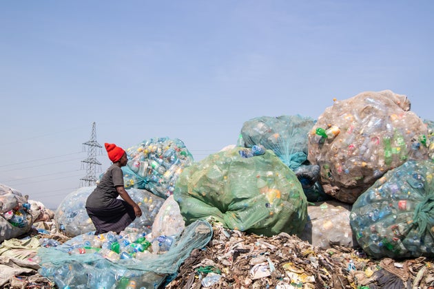 La Gambie, petit pays de l'ouest africain, a de grandes ambitions en matière de politiques climatiques....