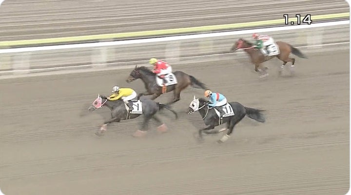 大井3Rのレースの様子