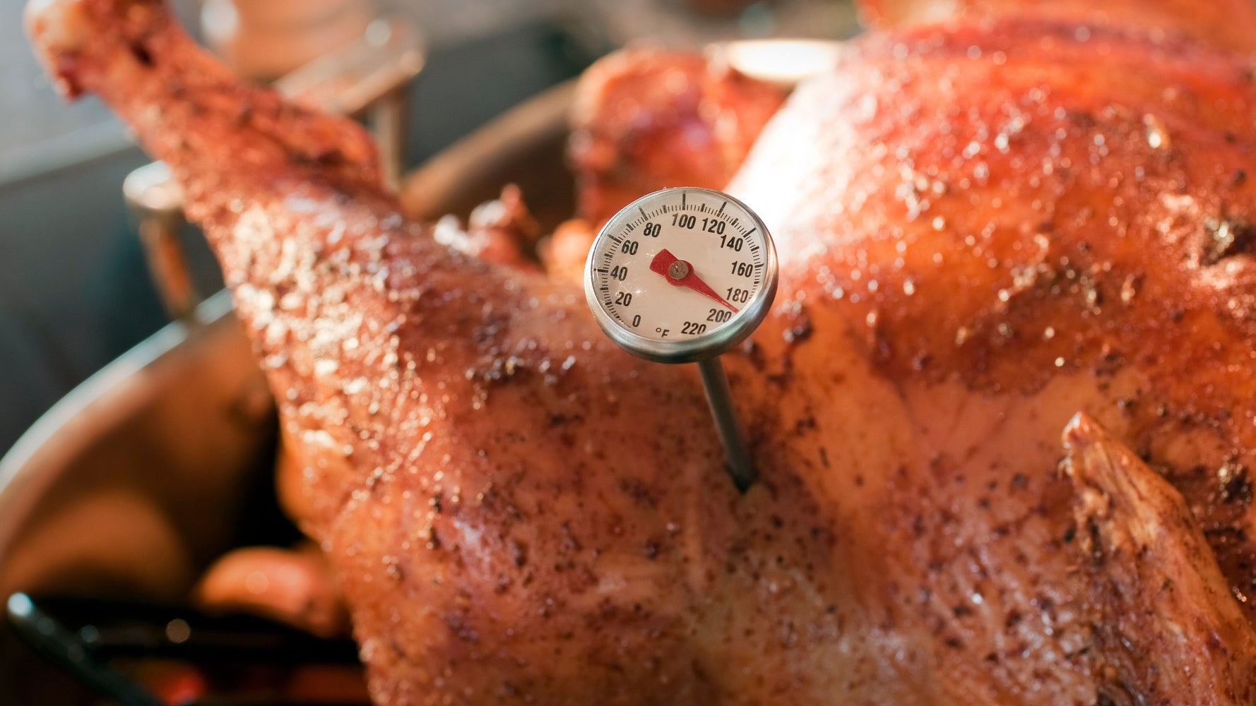 Meat Thermometers You Need For Cooking A Turkey