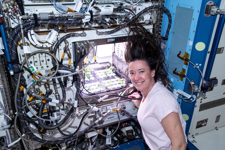 NASA astronaut Megan McArthur checks Hatch chile plants.
