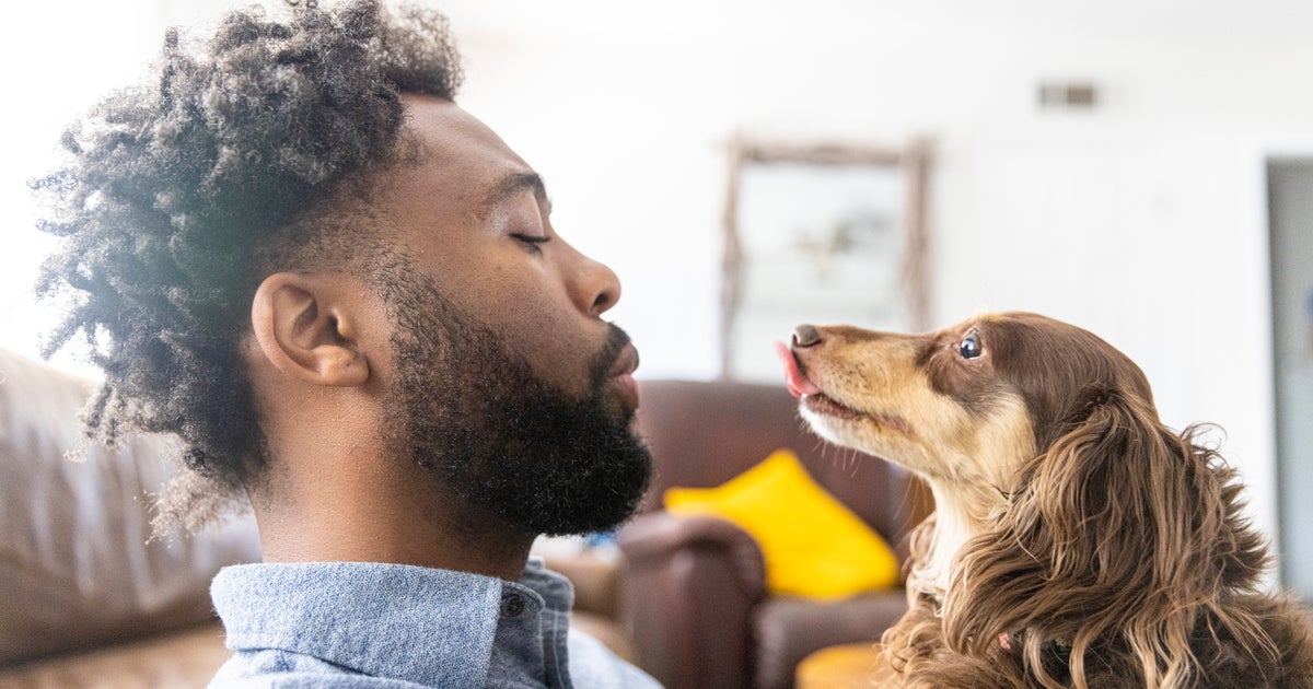 How To Choose A Pet For Life HuffPost Life