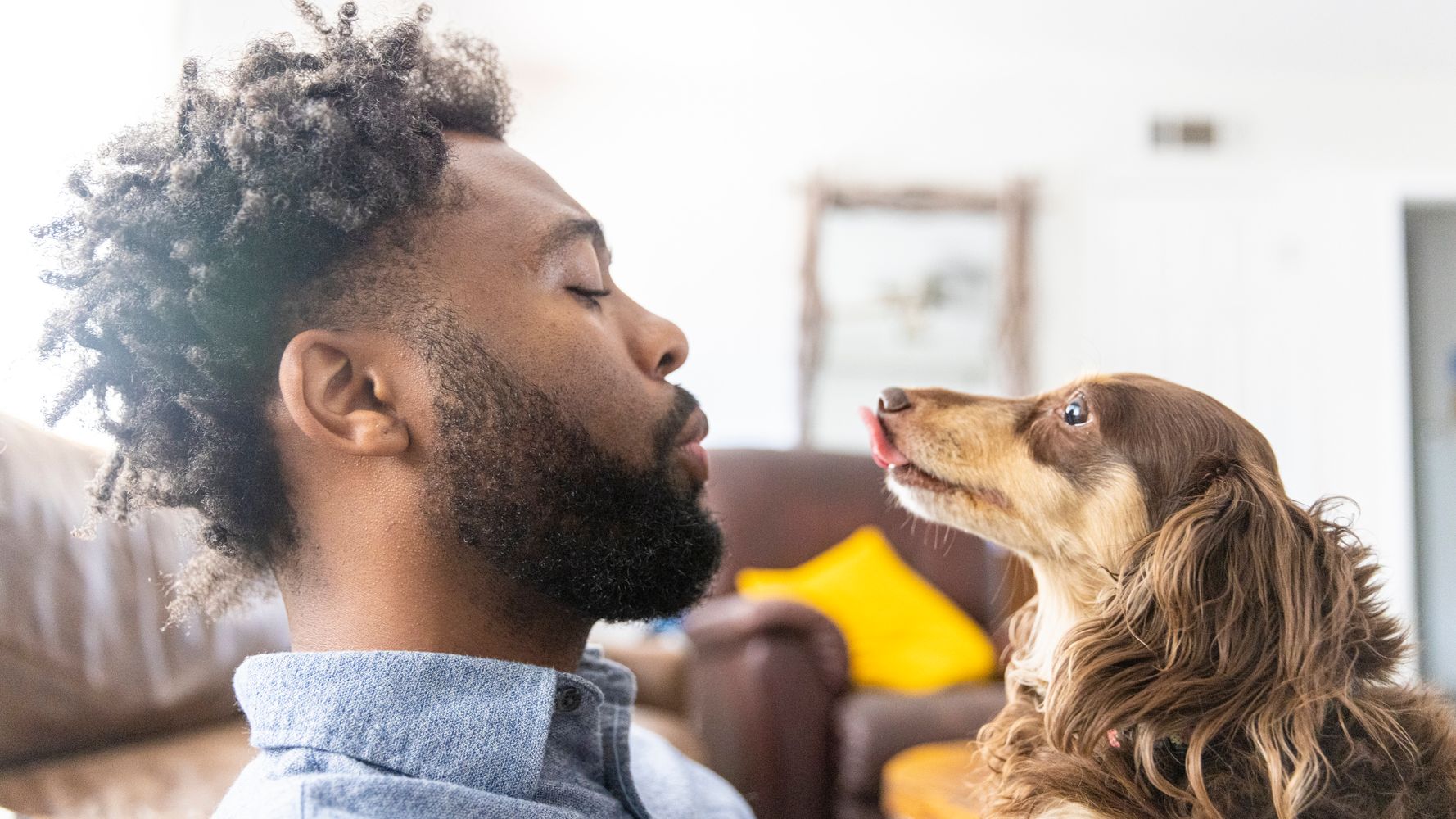 How To Choose A Pet For Life | HuffPost Life