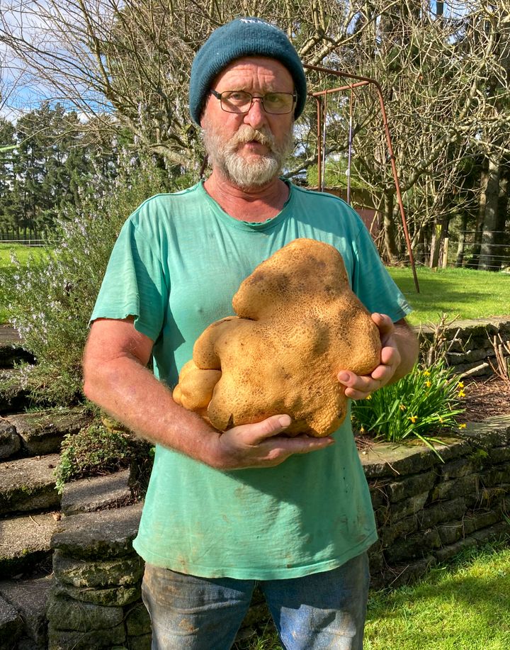 Colin Craig-Browns holds a large potato dug from his garden at his home near Hamilton, New Zealand Monday, Aug. 30, 2021. The New Zealand couple say the titanic tuber weighed in at 17 pounds. (Donna Craig-Brown via AP)