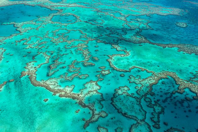 En esta foto sin fecha proporcionada por el cuerpo de la Gran Barrera de Coral, Hardy Reef es una parte ...