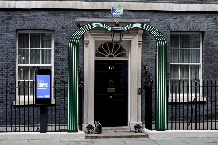 Larry the cat is seen outside 10 Downing Street earlier this week
