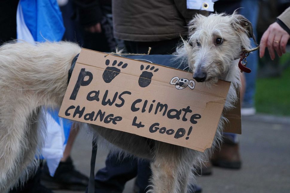 COP26: Τα πιο έξυπνα μηνύματα σε πλακάτ από την διαμαρτυρία για το