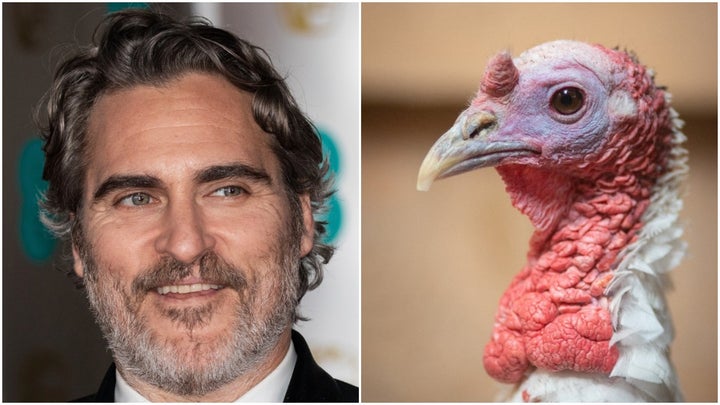 Joaquin Phoenix (left) and Celeborn, a turkey living at Farm Sanctuary.