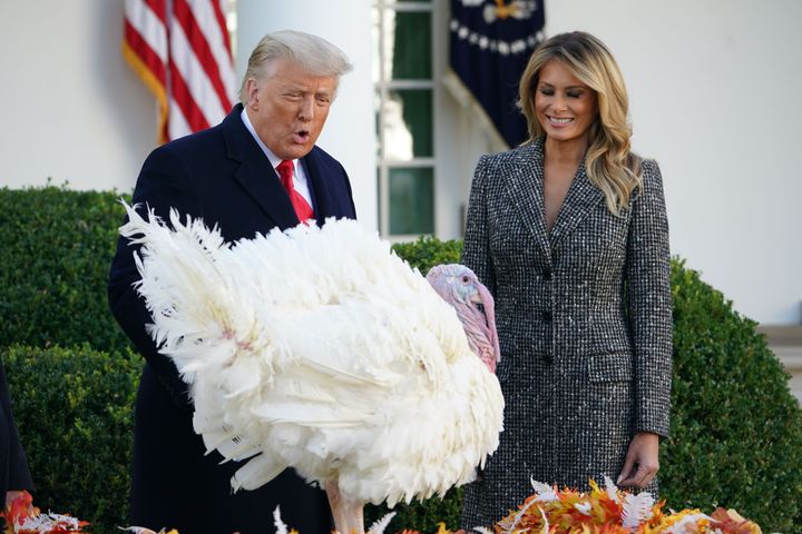 First lady Melania Trump (right), President Donald Trump and Corn the turkey at the 2020 turkey pardon.