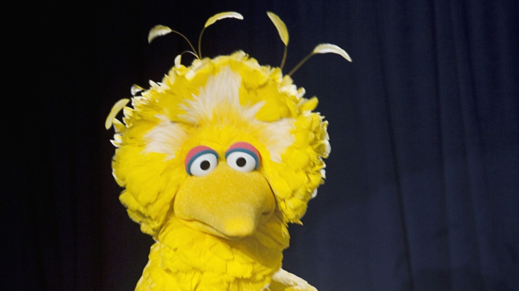 Fox Hosts Up In Arms Over ‘Sesame Street’ Teaching Kids About Vaccines