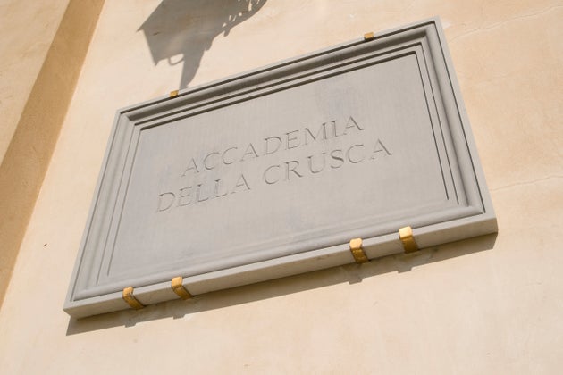Accademia della Crusca: “Green Pass è una parola finta, non esiste” Accademia della Crusca: “Green Pass è una parola finta, non esiste”