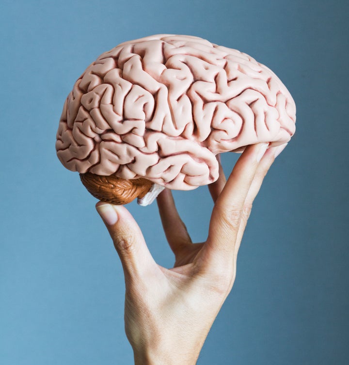cerebro